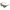 salvatore-ferragamo-unisex-60mm-butterfly-frame-sunglasses-1