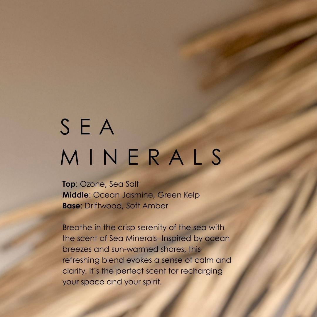 Sea Minerals Car Diffuser