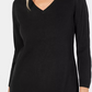 Karen Scott Women's V Neck Luxsoft Sweater Blue- Size Small