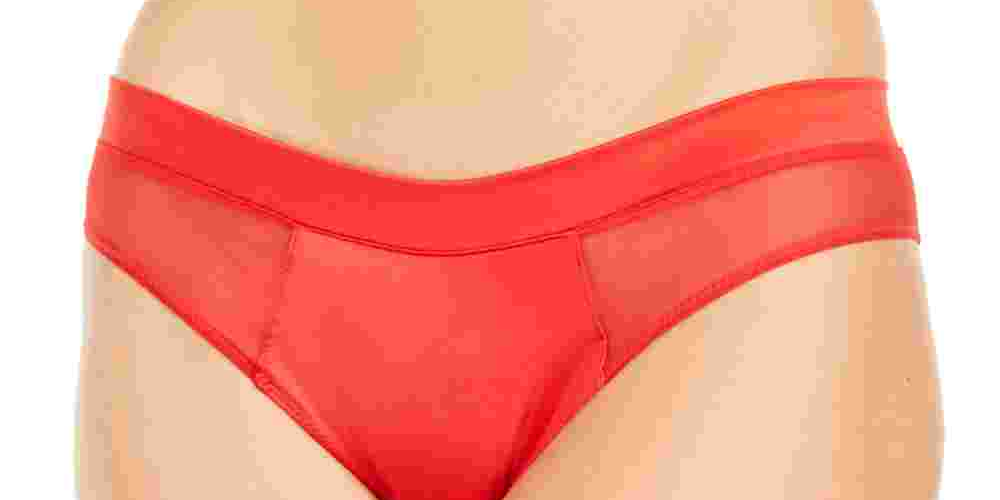 DKNY Women's Satin Bikini Underwear Red Size S