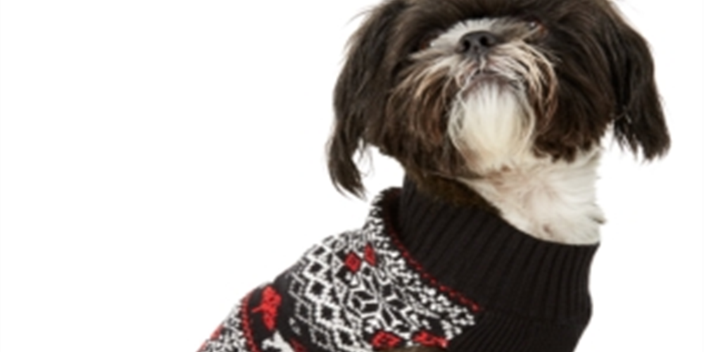 Charter Club Women's Fair-Isle Dog Family Family Sweater  Black Size Large