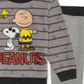 Peanuts Little Boy's 2 Pc Sweatshirt & Joggers Set Gray Size 7