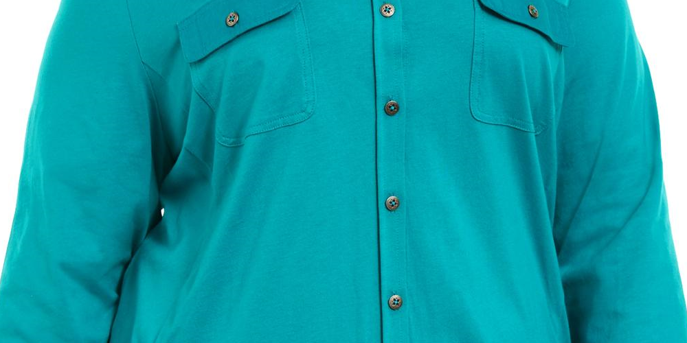 Karen Scott Women's Polo Top Button up Collar Blue Size 2X