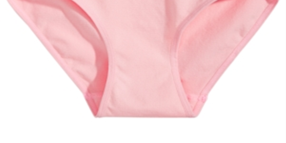 Maidenform Little & Big Girl's Rainbow Waist Seamless Hipster Underwear Pink Size Large