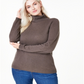 Charter Club Women's Solid Long Sleeve Sweater Brown Size 2X