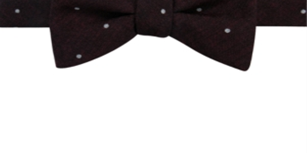 Ryan Seacrest Distinction Men's Bow Umbria Dot Pre Tie Red Size Regular