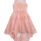 Rare Editions Big Girl's Lace Illusion Dress Pink Size 14