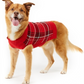 Charter Club Women's Plaid Dog Family Family Sweater Red Size X-Large