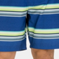 Hurley Men's Striped Board Shorts Blue Size -40
