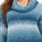Style & Co Women's Color Block Long Sleeve Turtle Neck T-Shirt Sweater Teal Size Petite Petite
