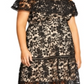City Chic Women's Dream Of Lace Dress Black Size 20W