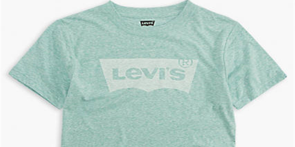 Levi's Big Boys' Classic Batwing T-Shirt, Nile Blue Snow Yarn Size L