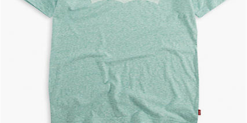 Levi's Big Boys' Classic Batwing T-Shirt, Nile Blue Snow Yarn Size L