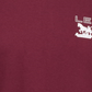 Levi's Men's Physics Logo Long-Sleeve T-Shirt Red Size Large