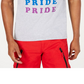 I.n.c. Unisex Rainbow Pride Graphic Tank Benefitting the Trevor Project Gray Size XSMLMEDREG