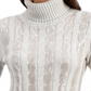 Charter Club Women's Sequin Stripe Turtleneck Gray Size Large
