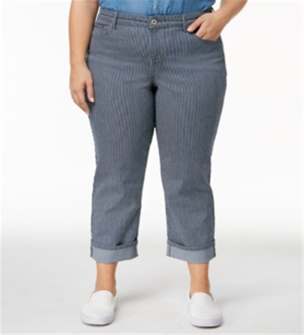 STYLE & COMPANY Womens Striped Jeans Plus Blue Size 24
