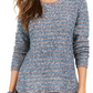 Style & Co wOMEN'S Petite Striped Metallic-Threaded Sweater Blue Size Petite S