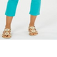 Charter Club Women's Tummy Control Bristol Capri Jeans Green Size 18