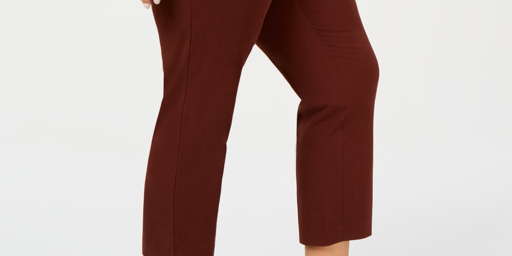 Alfani Women's Ankle Pants Brown Size 26W