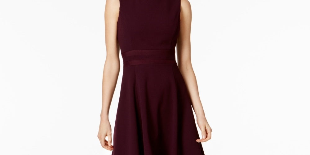 Calvin Klein Women's Illusion Trim Fit & Flare Dress Regular Purple Size 0 Petite