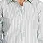 Ralph Lauren Women's Striped Button Down Cotton Shirt Green Size Large