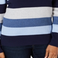 Karen Scott Women's Colorblocked V Neck Cotton Sweater Blue Size X-Large