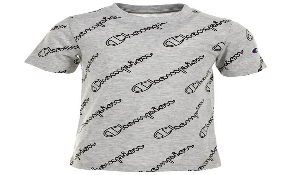 Champion Little Boy's Allover Open Script T-Shirt Gray Size 5