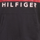 Tommy Hilfiger Little Boy's James Logo Lightweight Hoodie Gray Size 6