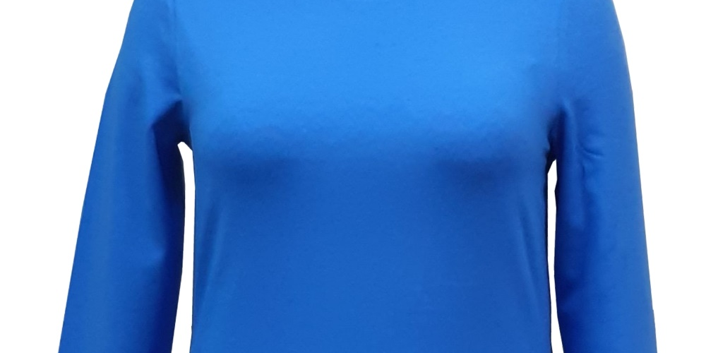 Style & Co Women's Long Sleeve Top Blue Size Large