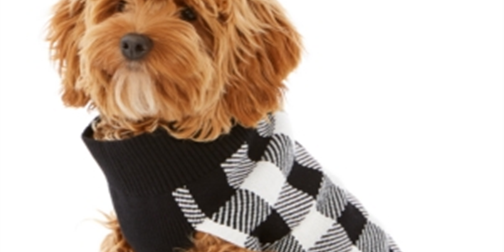 Charter Club Women's Check Print Dog Family Sweater White Size Large