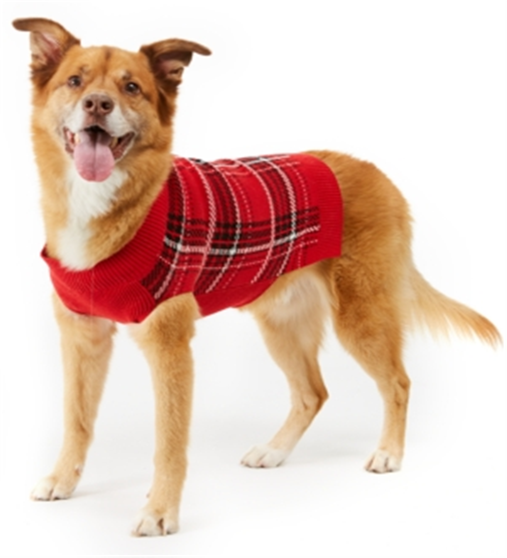 Charter Club Women's Plaid Dog Family Sweater Red Size Medium