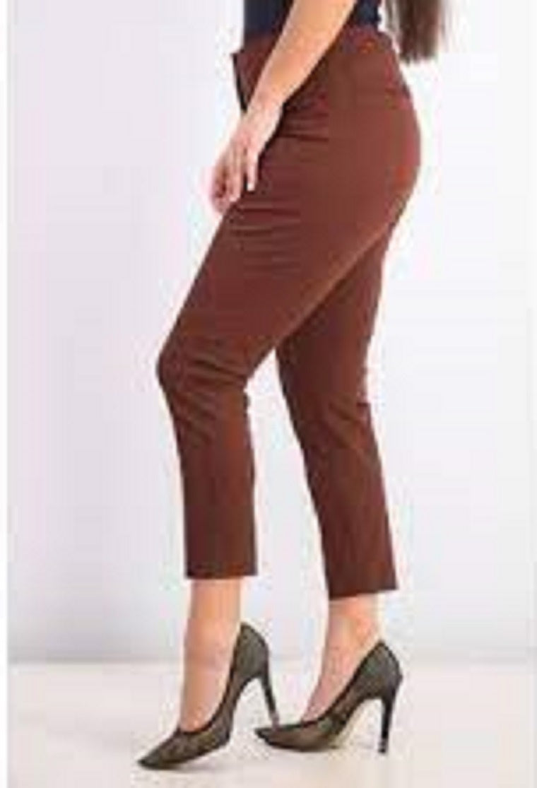 Alfani Women's Petite Hollywood-Waist Skinny Ankle Pants Dark Brown Size 16P