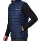 Columbia Men's Powder Lite Vest Blue Size Medium
