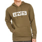 Levi's Men's Burndlen Fleece Logo Hoodie Green Size Large
