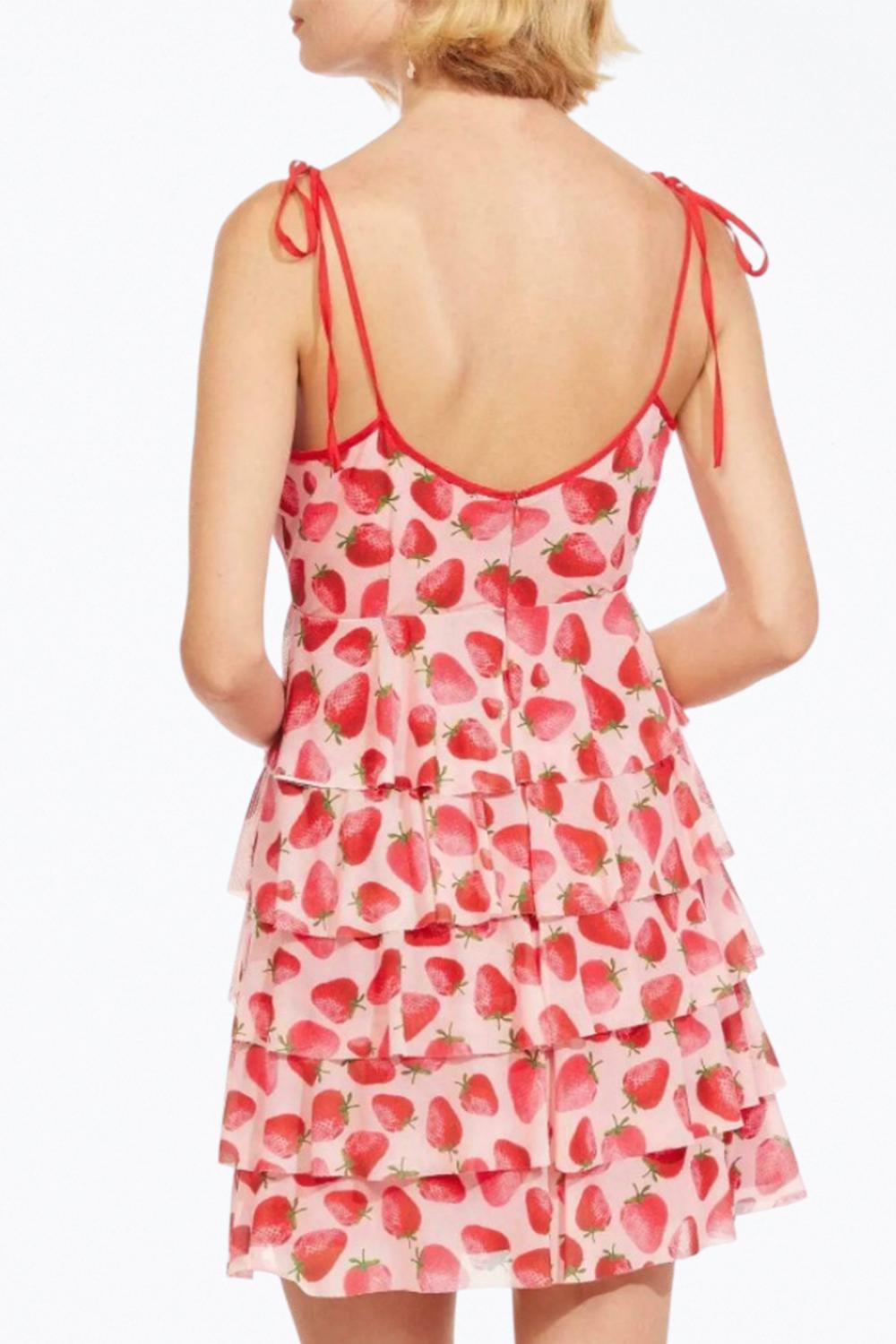 Eva Franco - RADA TIERED MESH MINI DRESS