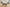 Table Set, Coffee, End, Side, Accent For Living Room, Transitional (Set of 3) - Oak