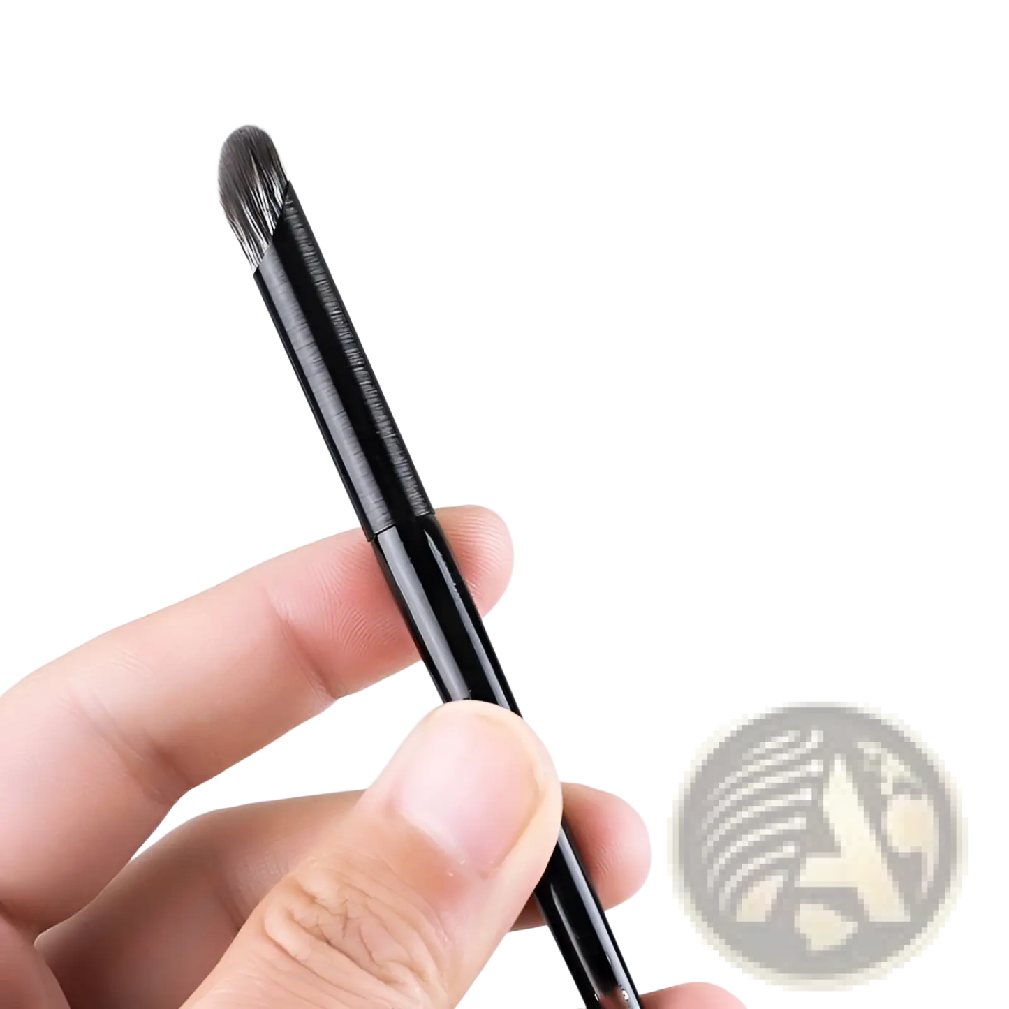 Black Eye Makeup Brush Set 10 Piece Matte Tools