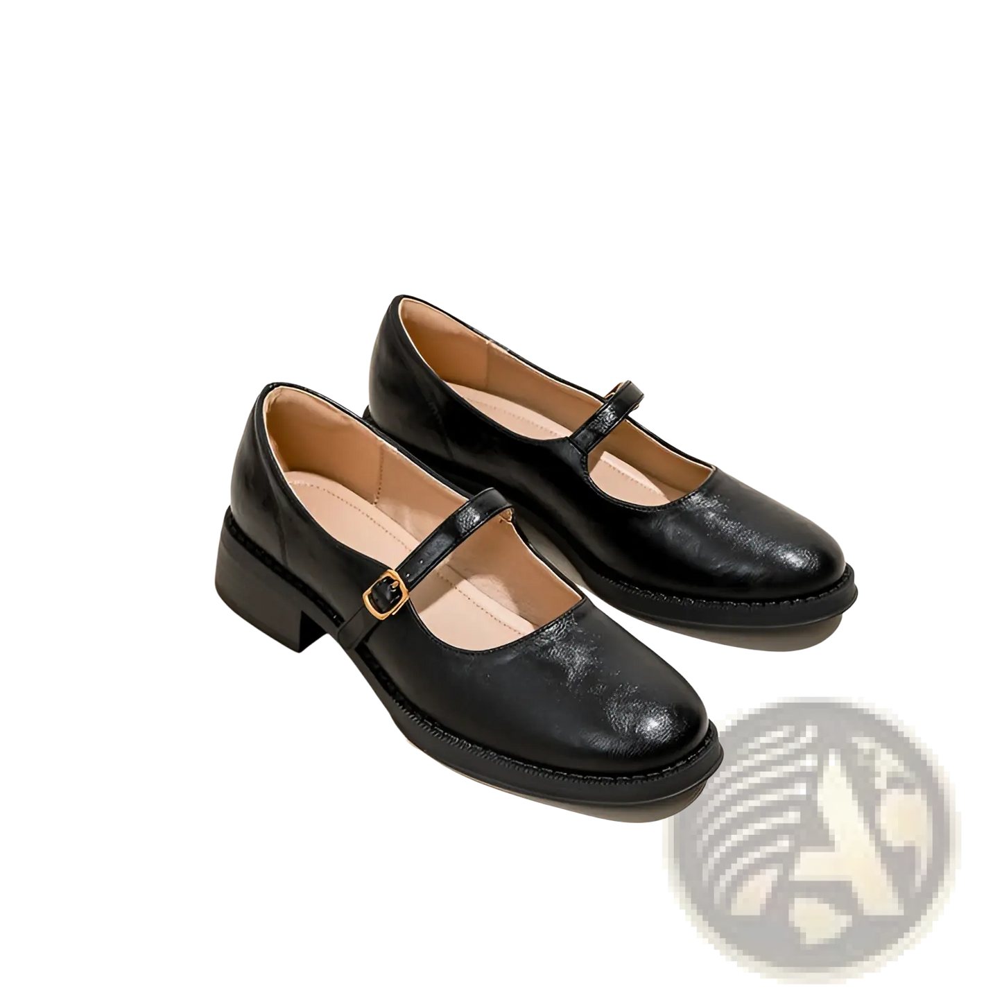 Black Leather Mary Jane Shoes with Block Heel