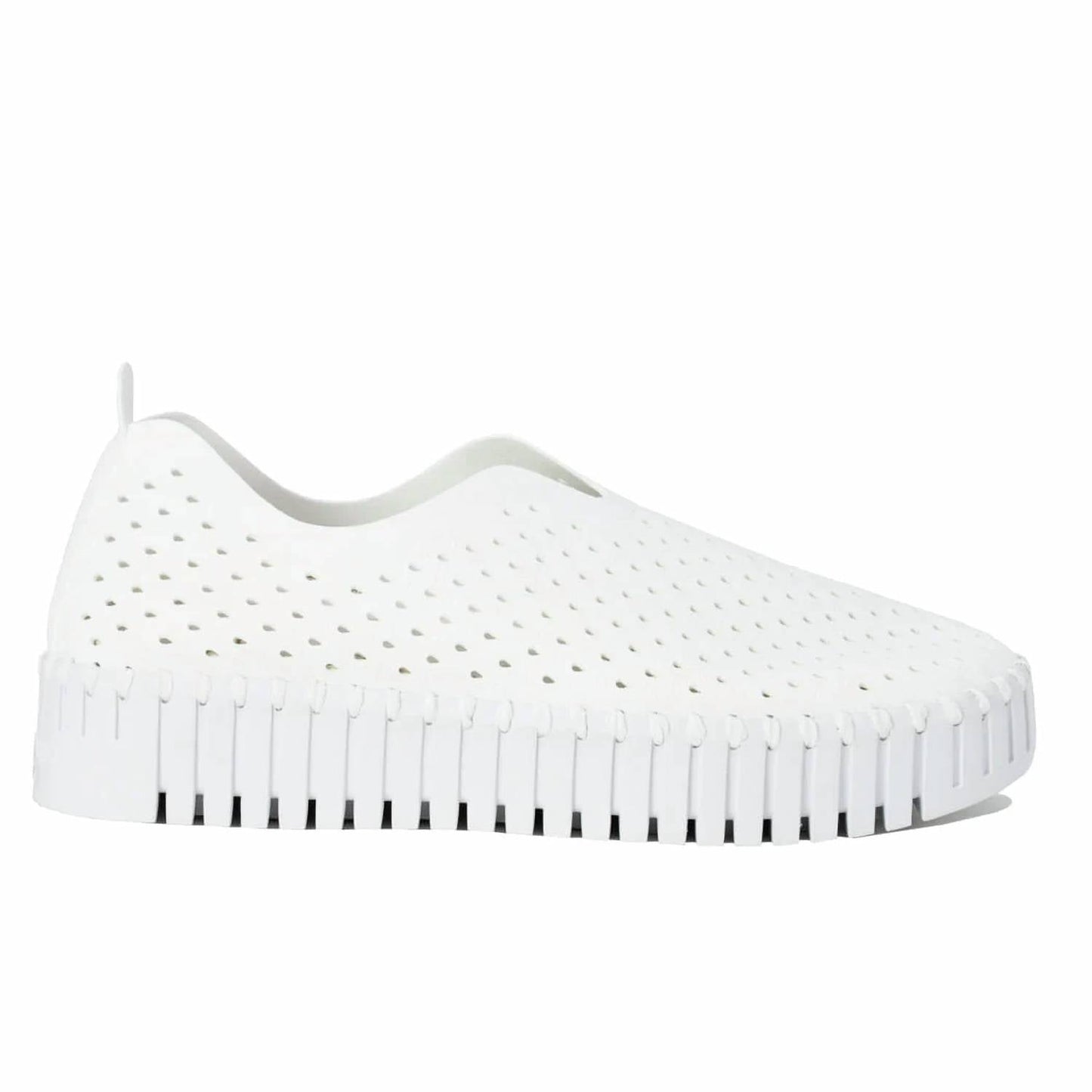Ilse Jacobsen - Women's Tulip 3373 Shoes