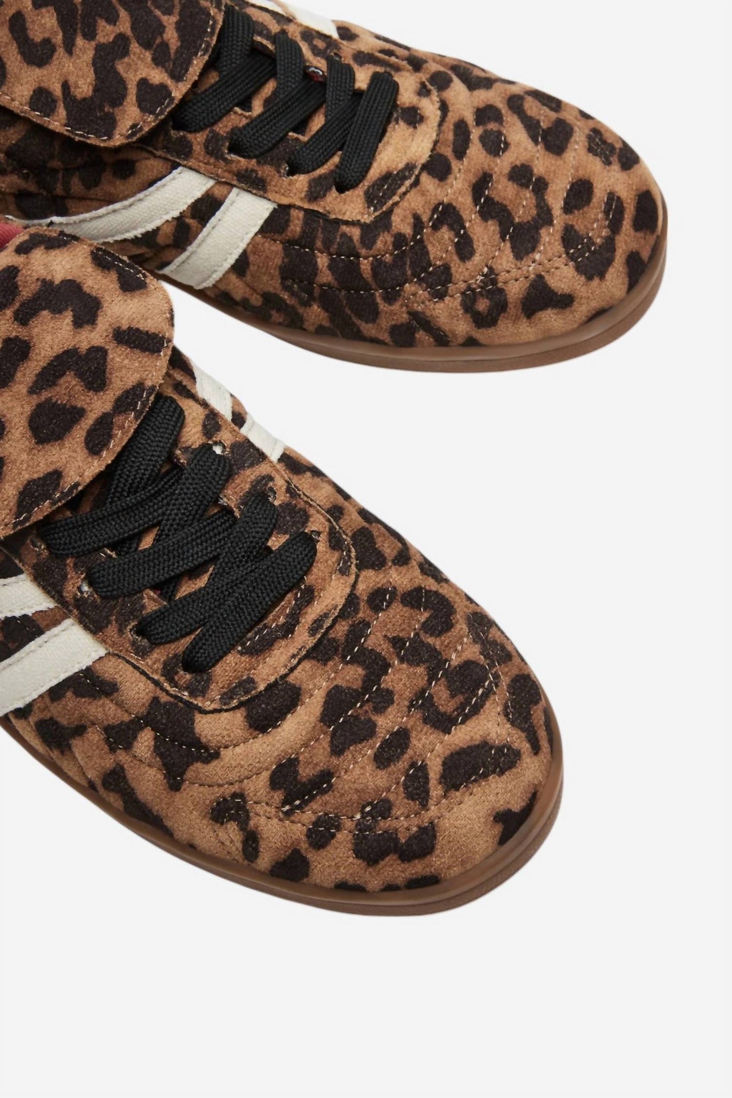 Steve Madden - Women's Madrid Sneaker Low Top Sneaker