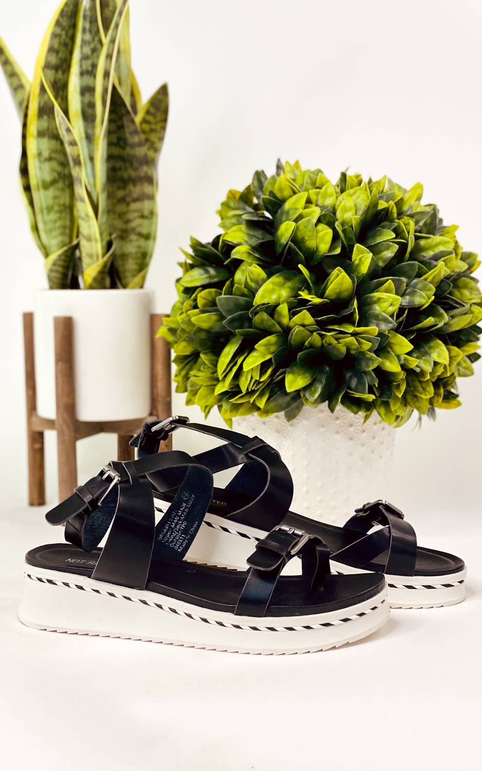 Not Rated - Women's Enna Sandal