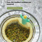 Cactus Sink Drain Strainer Basket Filter Net