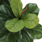 47" Tall Artificial Fiddle Tree Indoor Faux Plant