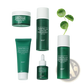 Centella Asiatica 5-piece Facial Skincare Set by Irev