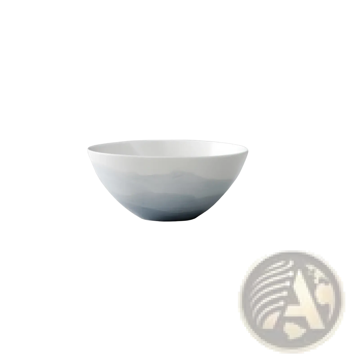 Ceramic Gradient Blue Steak Plate and Bowl Set