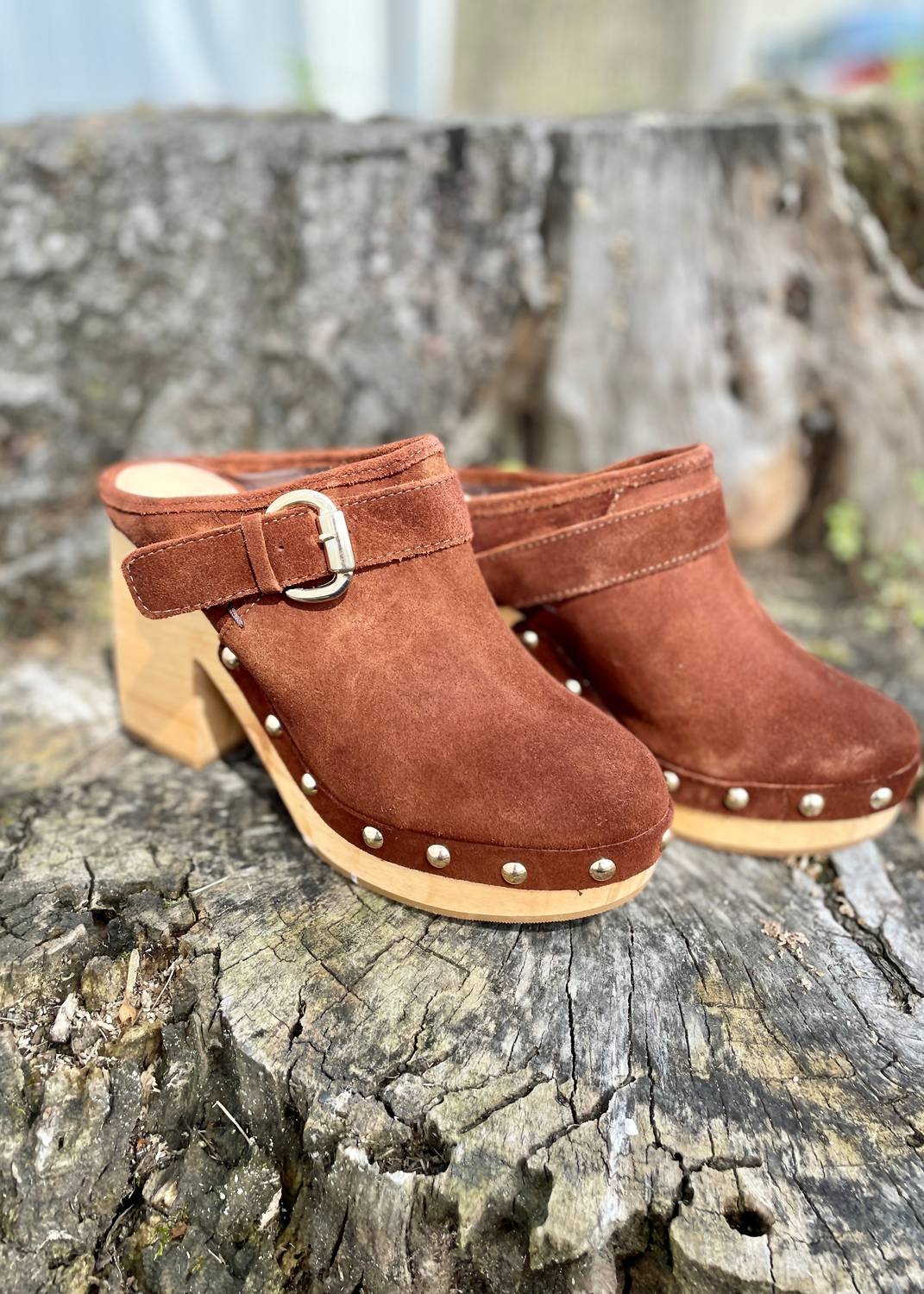 Steve Madden - Women's Studded Suede Clog