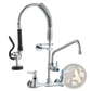 Commercial Faucet with Pre-rinse Sprayer and 12-inch Spout
