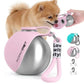 Stainless Steel Portable Dog Water Bottle with Travel Bowl