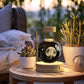 3d Crystal Ball Dinosaur Night Light Usb Bedside Lamp